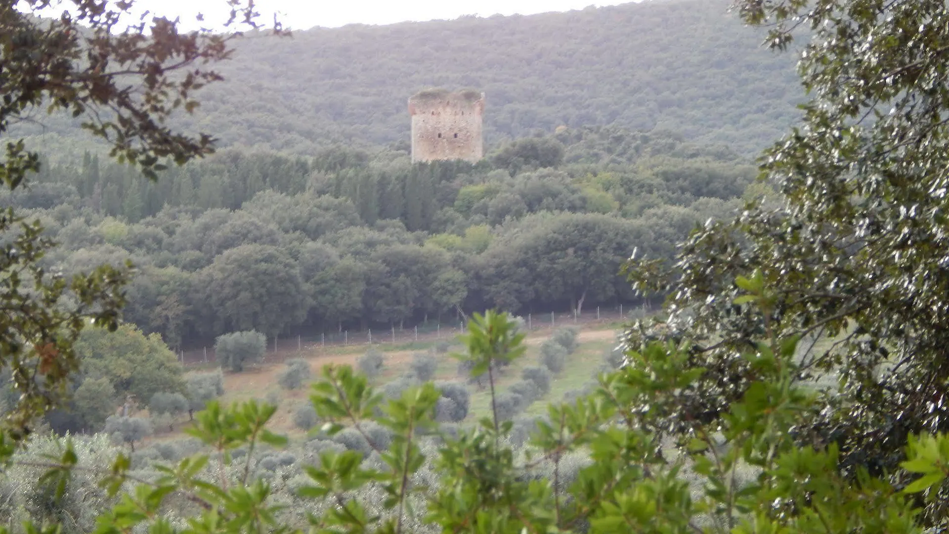 Tenuta Uccellina location